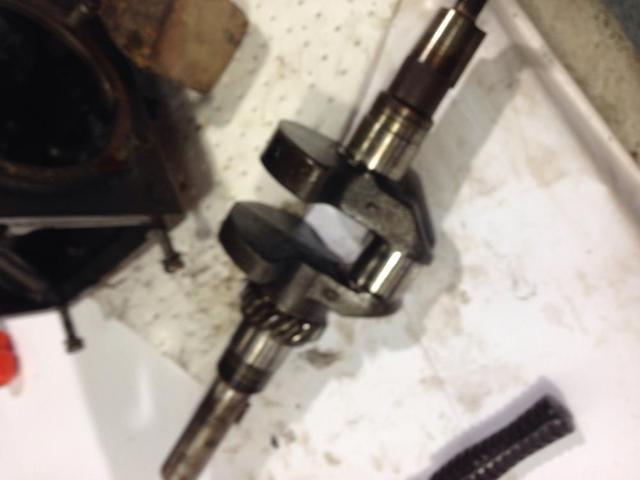 image.thumb.jpg.d5b87f6832716c1cacd03986