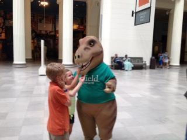 photo1_zpsddee8053.thumb.jpg.3fb690a4a23