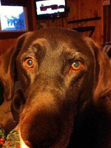 photo_(4).thumb.JPG.c1c22de2710b70f2ba95