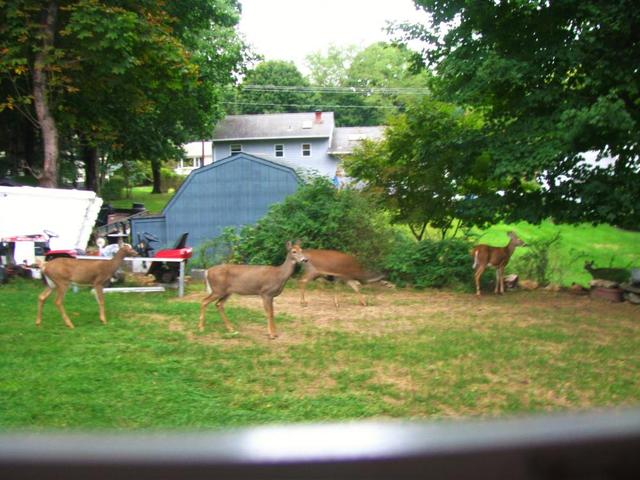 2015-10-03_002_011.thumb.JPG.bf6467dd0ac