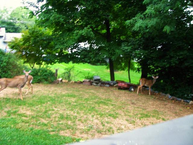 2015-10-03_002_013.thumb.JPG.0f7965f44b3