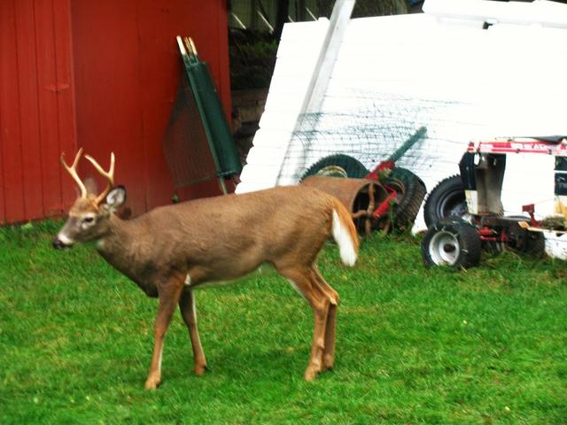 2015-10-03_002_028.thumb.JPG.5e21722fd3f