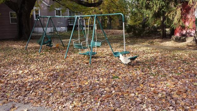 2015-10-19 15.32.45.jpg