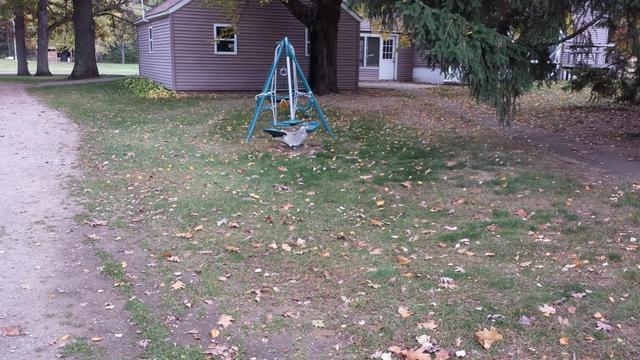 2015-10-20 09.18.11.jpg