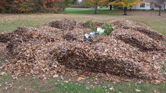 2015-10-20 09.23.47.jpg