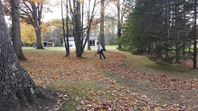 2015-10-25 15.31.11.jpg