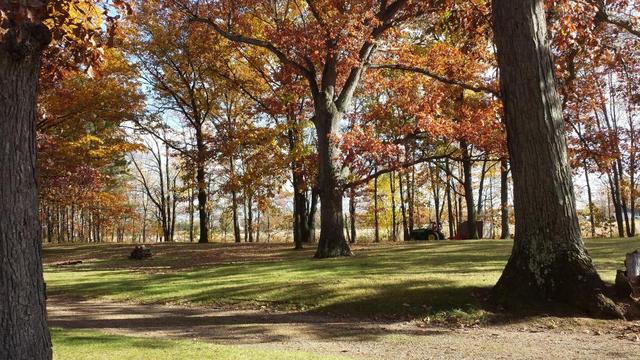 2015-10-25 15.43.44.jpg