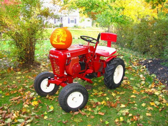 56258f4983cbf_wheel_horsin_around_333607