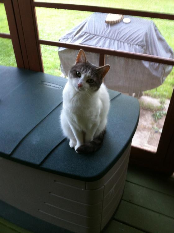 IMG_4464.thumb.jpeg.13650987de0eef5c54f4