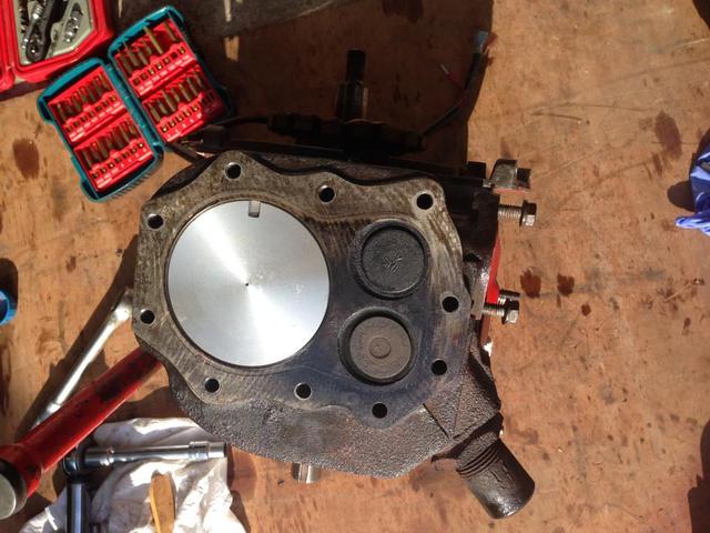 IMG_5335.thumb.JPG.323eb89925ce73b4c3b74