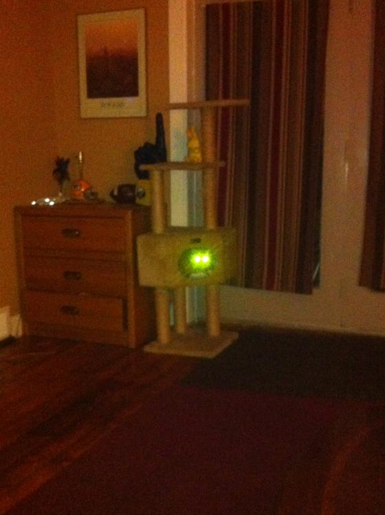 IMG_7509.thumb.jpeg.255360cdc522ea666bcd