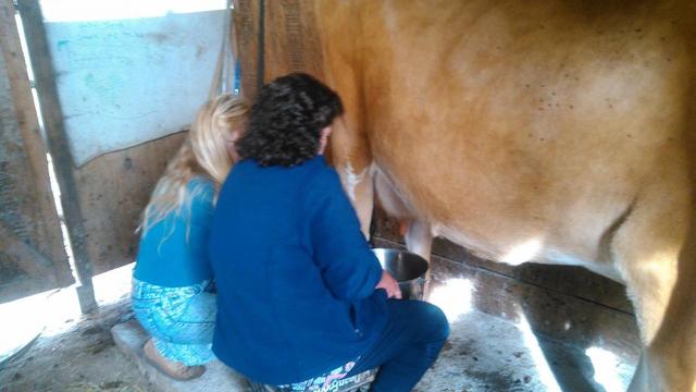 KIMG0028.thumb.jpg.87c07fa9ee83121e732dc