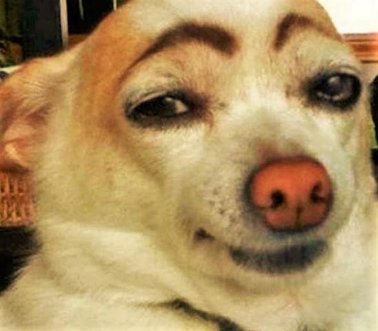 hot_stuff_.thumb.jpg.d60a2596be76435133b