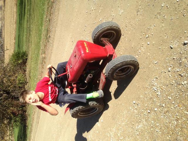 wheel_horse.thumb.JPG.723be63de8edadd702