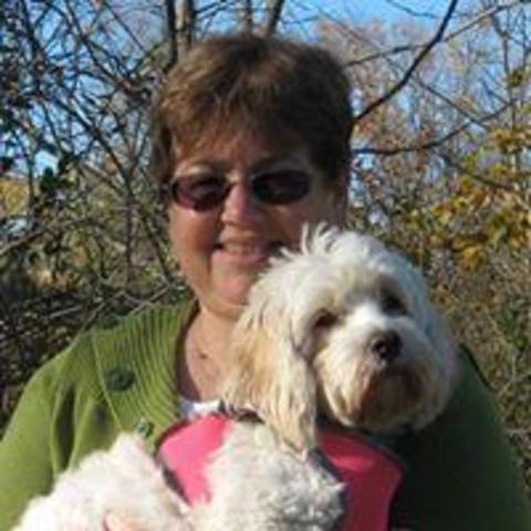 12143100_10153706200986506_9092491294368