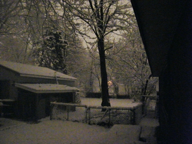 2008_0101SNOW20160003.thumb.JPG.4f9d1b9a