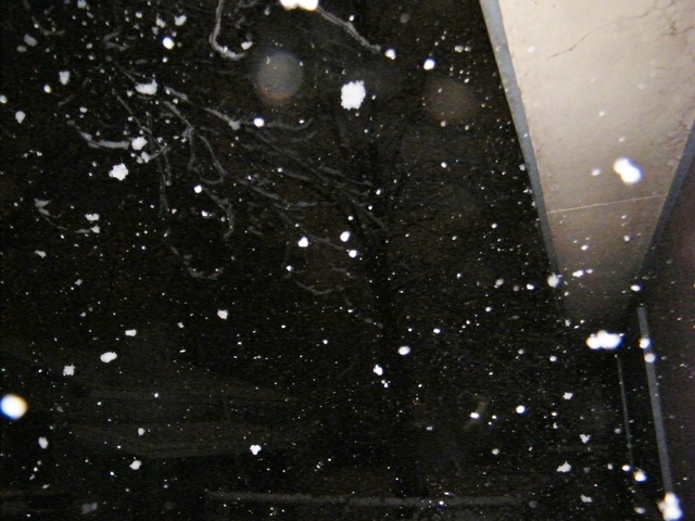 2008_0101SNOW20160004.thumb.JPG.f39d808c