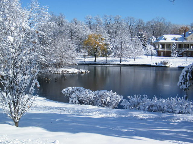 2008_0102SNOW20160006.thumb.JPG.8c311bef