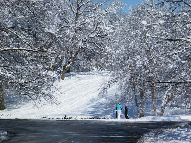 2008_0102SNOW20160008.thumb.JPG.630b92a7