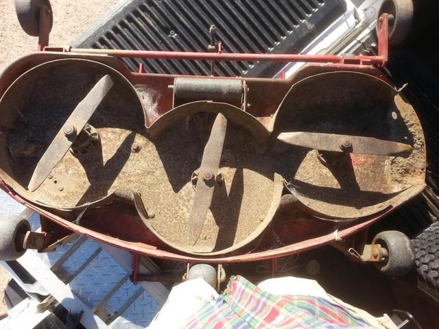 20151108_110844 (Large).jpg