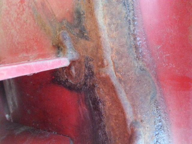 20151110_124127 (Large).jpg