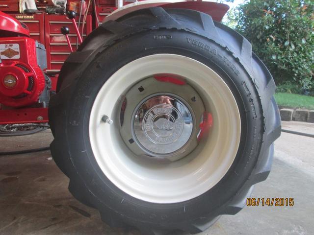 horse,,,,,garden hose 001.JPG