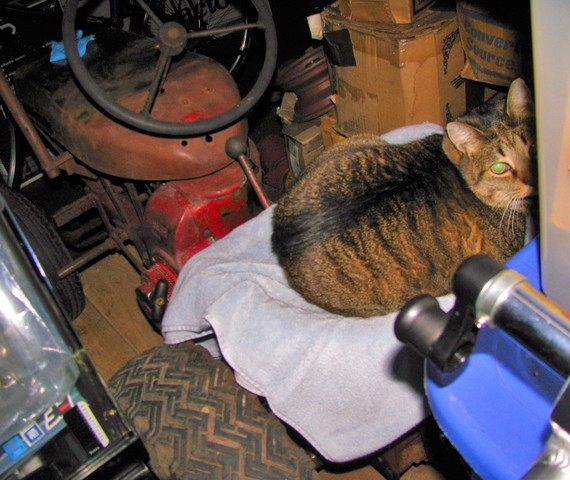 IMG_4779.thumb.JPG.23bccb7f95d3bb88b4cee