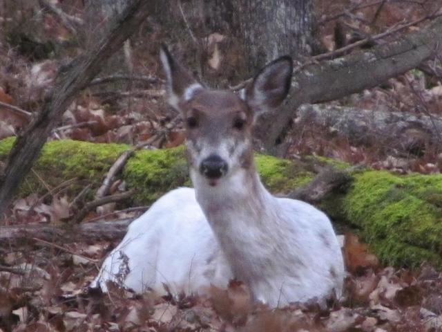 IMG_5107.thumb.JPG.a6f7122608fc182769191