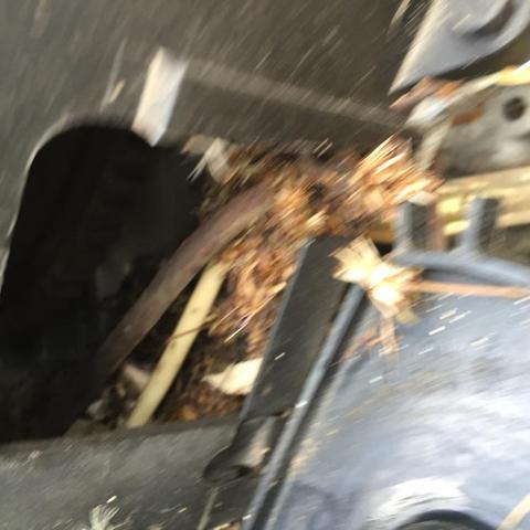 IMG_8895.thumb.JPG.428934815cffb8701f5c1