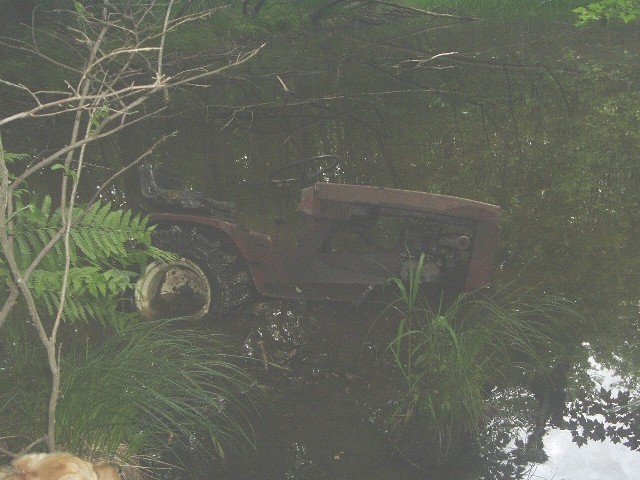 Muddy001.jpg.a1e53e8d1c791c01bc1e9137d3d