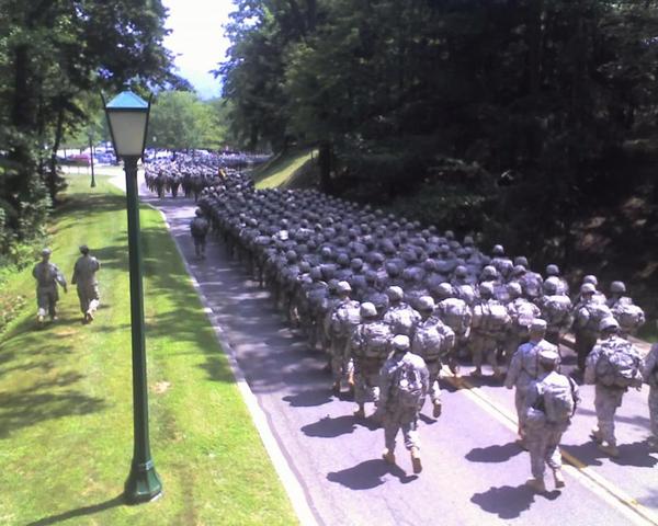 Picture_2492.thumb.jpg.bbc43e593240fd261