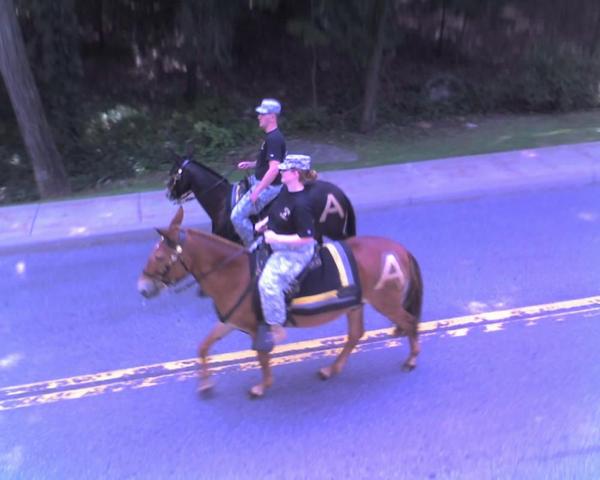 Picture_2498.thumb.jpg.c73e45899a51e89de