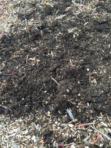 compost_mulch.thumb.JPG.b3c234edc9925764