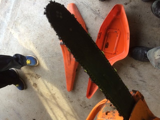 image.thumb.jpg.4787dd47452c42bed54e4090