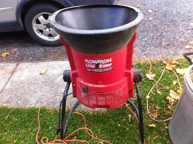 leafs_001.thumb.JPG.7a49780fd784a7c4ade6