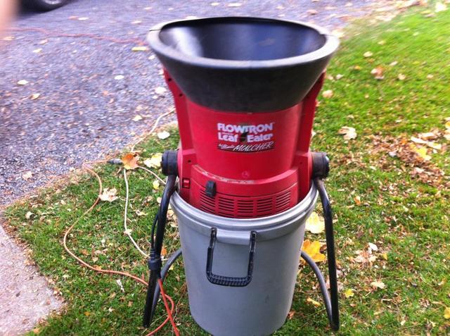 leafs_003.thumb.JPG.055fcb2c44d3d3cc3d30