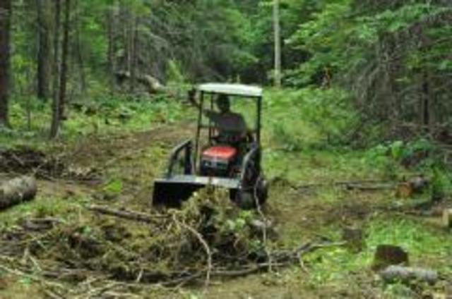 Mr-t doing some land clearing