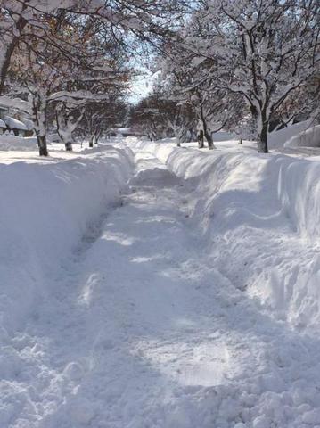 snow_cheek.thumb.jpg.aa50b943fdf8cfcb1ae