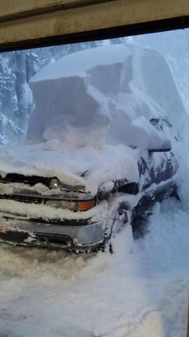 snow_on_truck.thumb.jpg.8f053624052157e1