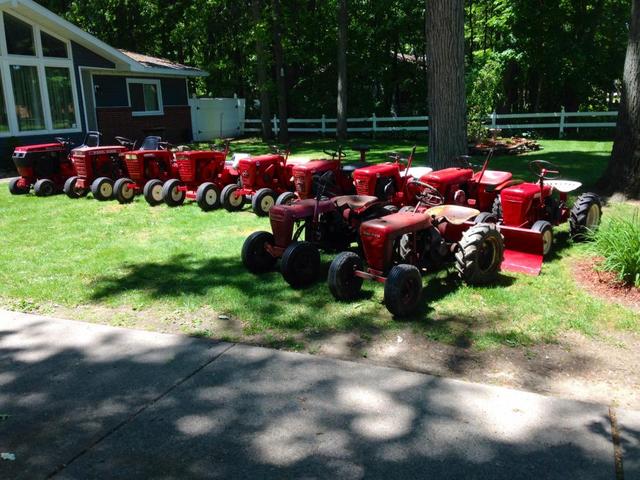 the herd of horses.JPG