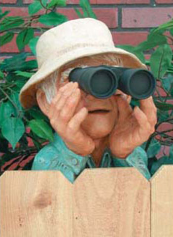 062408nosyneighbor01.jpg.3070ba72f71bad7