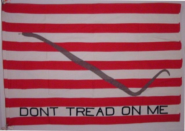 56792f7394780_ContinentalNavyFlag.jpg.0d