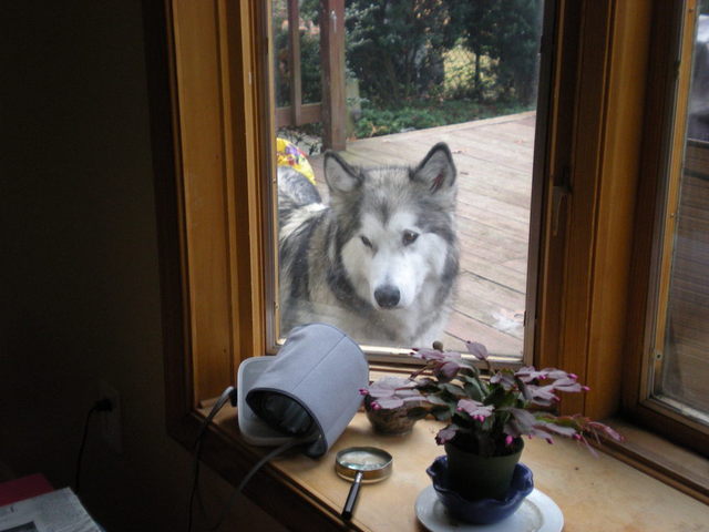 DSCN3285.thumb.JPG.8dad03d0ffeee4dedaaf9