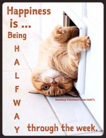 Halfway.jpg.02b3bf9cc09df1b70d18e1121425