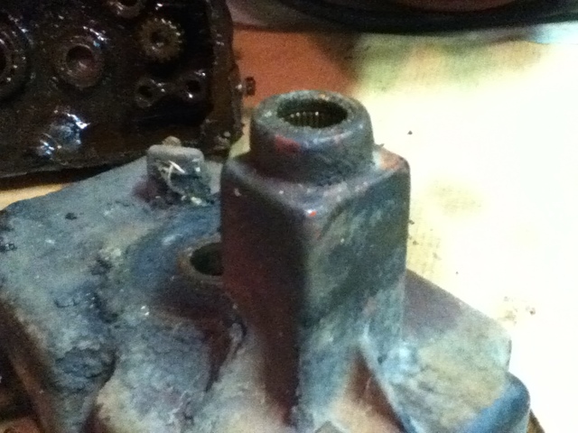 IMG_2697.JPG.31040e2512e823b9d3becf1bb4b