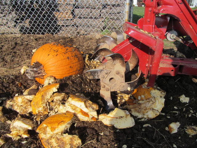 IMG_5181.thumb.JPG.a8399a85c99001c01bfda