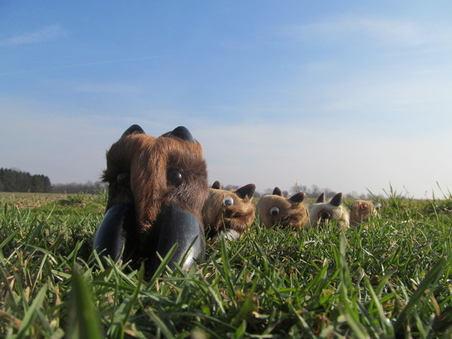 IMG_5191.thumb.JPG.dc7a089122e7e6b04fbfd