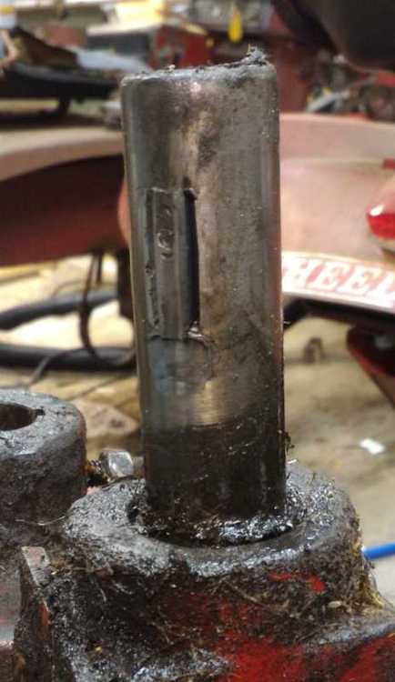 P_20151205_173816.thumb.jpeg.782689957d0