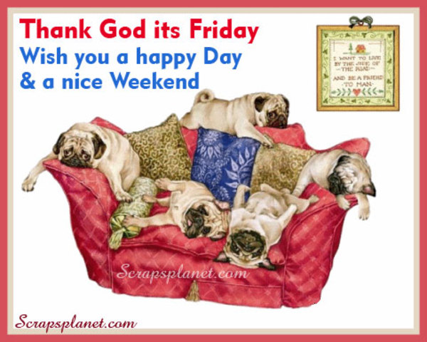 TGIF.jpg.91555faaec2e8454928b2a01ad9b6da