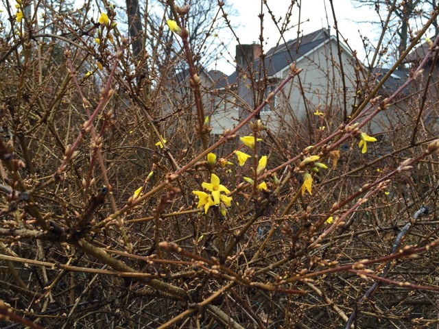 image.thumb.jpg.81b02475fef690a27430afea